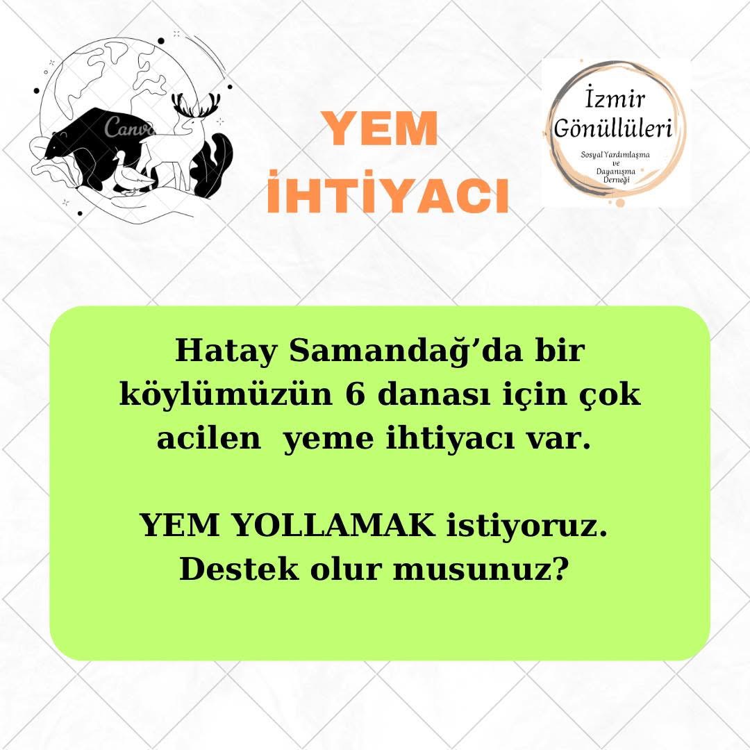 Sokak Hayvanlarının Tedavisi ve Korunması